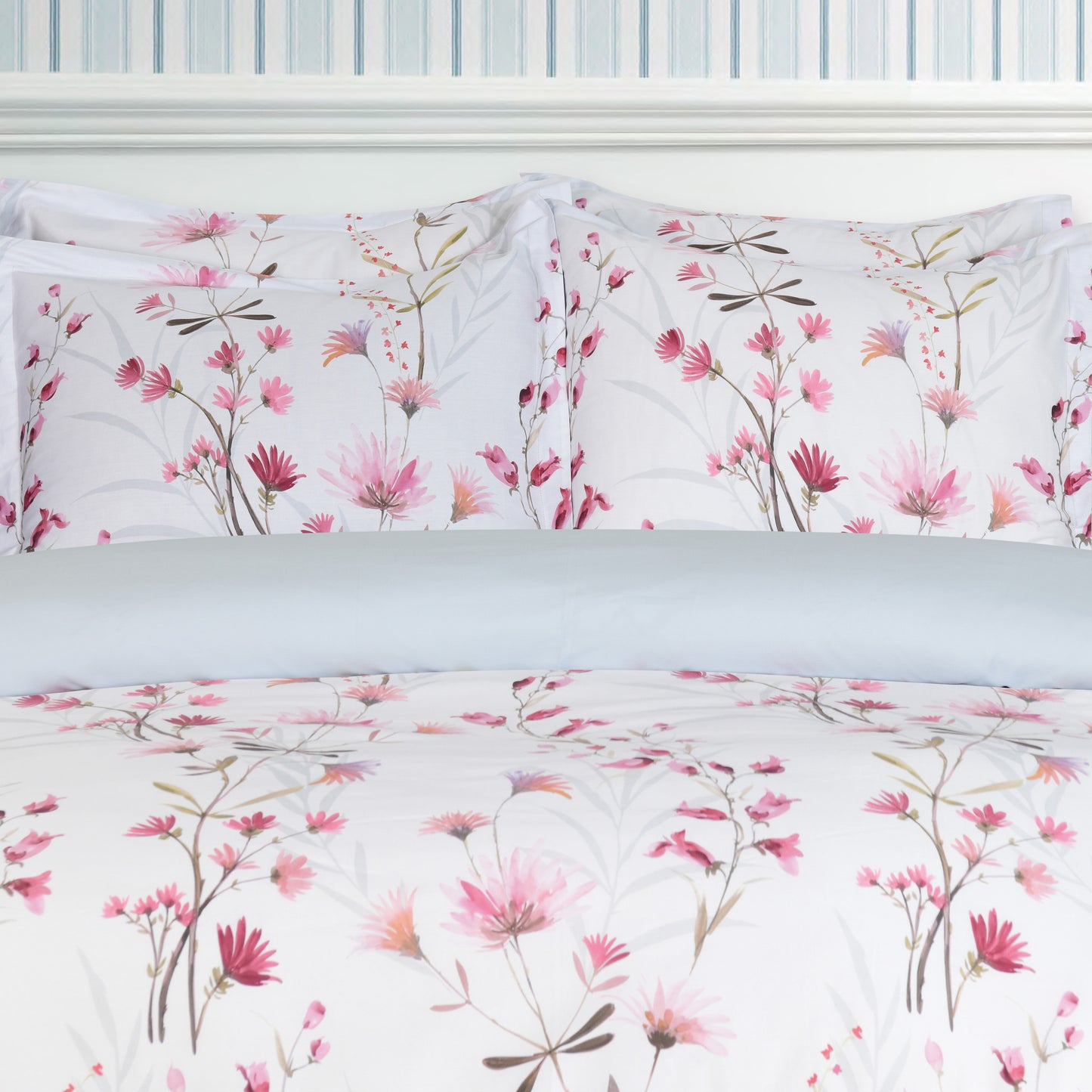 Daisy Dreams - Blush #BL509 - With Easy Care